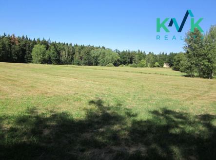 Prodej - pozemek, trvalý travní porost, 7 718 m²