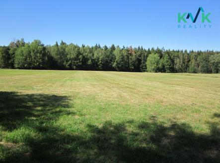 Prodej - pozemek, trvalý travní porost, 10 001 m²