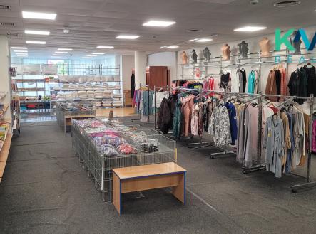 Pronájem obchodní prostor, 397 m²