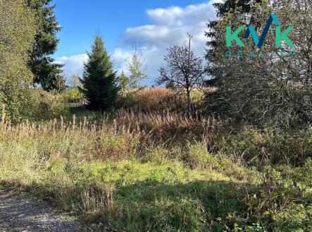 Prodej pozemku pro bydlení, 4 666 m²