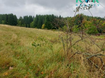 Prodej pozemku pro bydlení, 1 259 m²