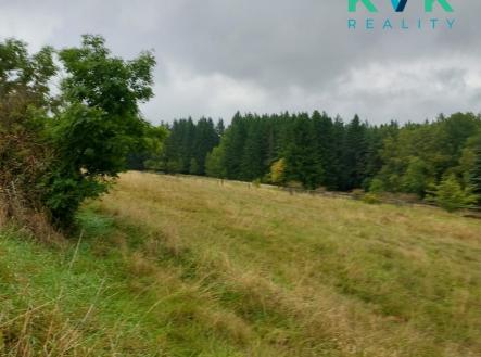 Prodej pozemku pro bydlení, 1 259 m²