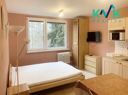 Prodej bytu, 1+kk, 20 m²