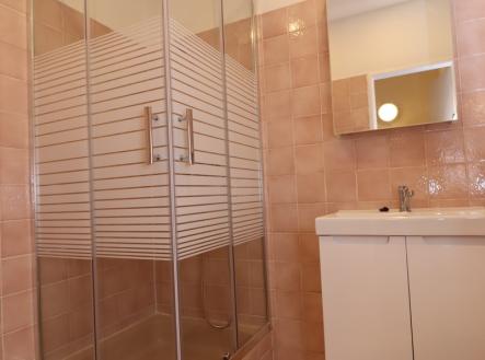 Pronájem bytu, 1+1, 45 m²