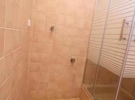 Pronájem bytu, 1+1, 45 m²