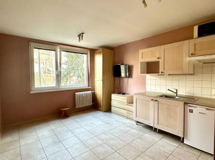 Pronájem bytu, 1+kk, 21 m²