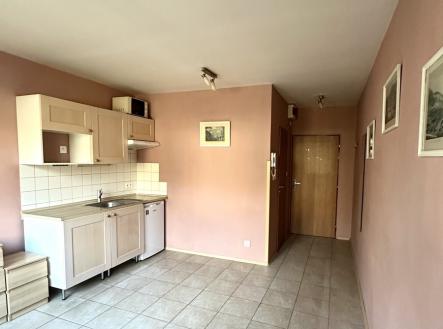 Pronájem bytu, 1+kk, 21 m²