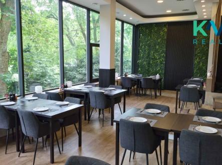 Pronájem restaurace, 210 m²