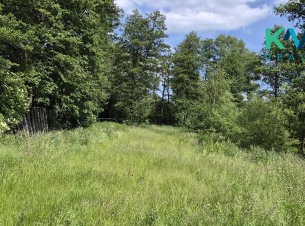 Pronájem pozemku, zahrada, 3 000 m²