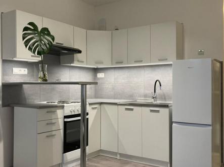 Prodej bytu, 1+kk, 19 m²