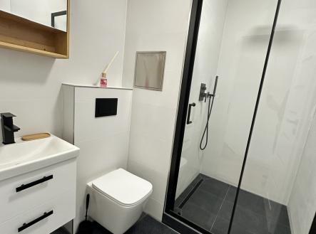 Prodej bytu, 1+kk, 20 m²