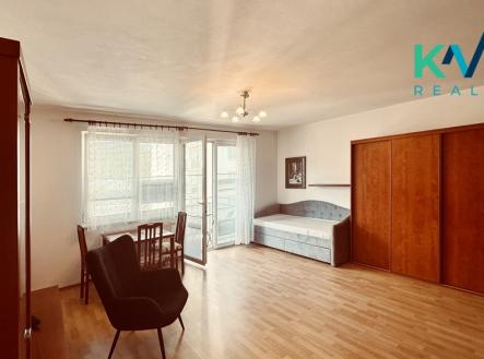Pronájem bytu, 1+kk, 43 m²