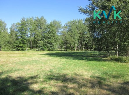 Prodej pozemku, trvalý travní porost, 7 718 m²