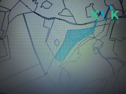 Prodej pozemku, trvalý travní porost, 7 718 m²