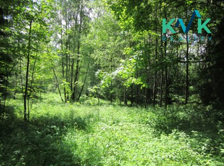 Prodej pozemku o velikosti 3 489 m2, v OV, Tisová u Nejdku.