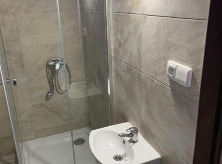 Pronájem bytu, 1+1, 43 m²