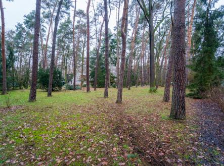 Prodej pozemku pro bydlení, 2 800 m²