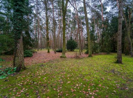 Prodej pozemku pro bydlení, 2 800 m²