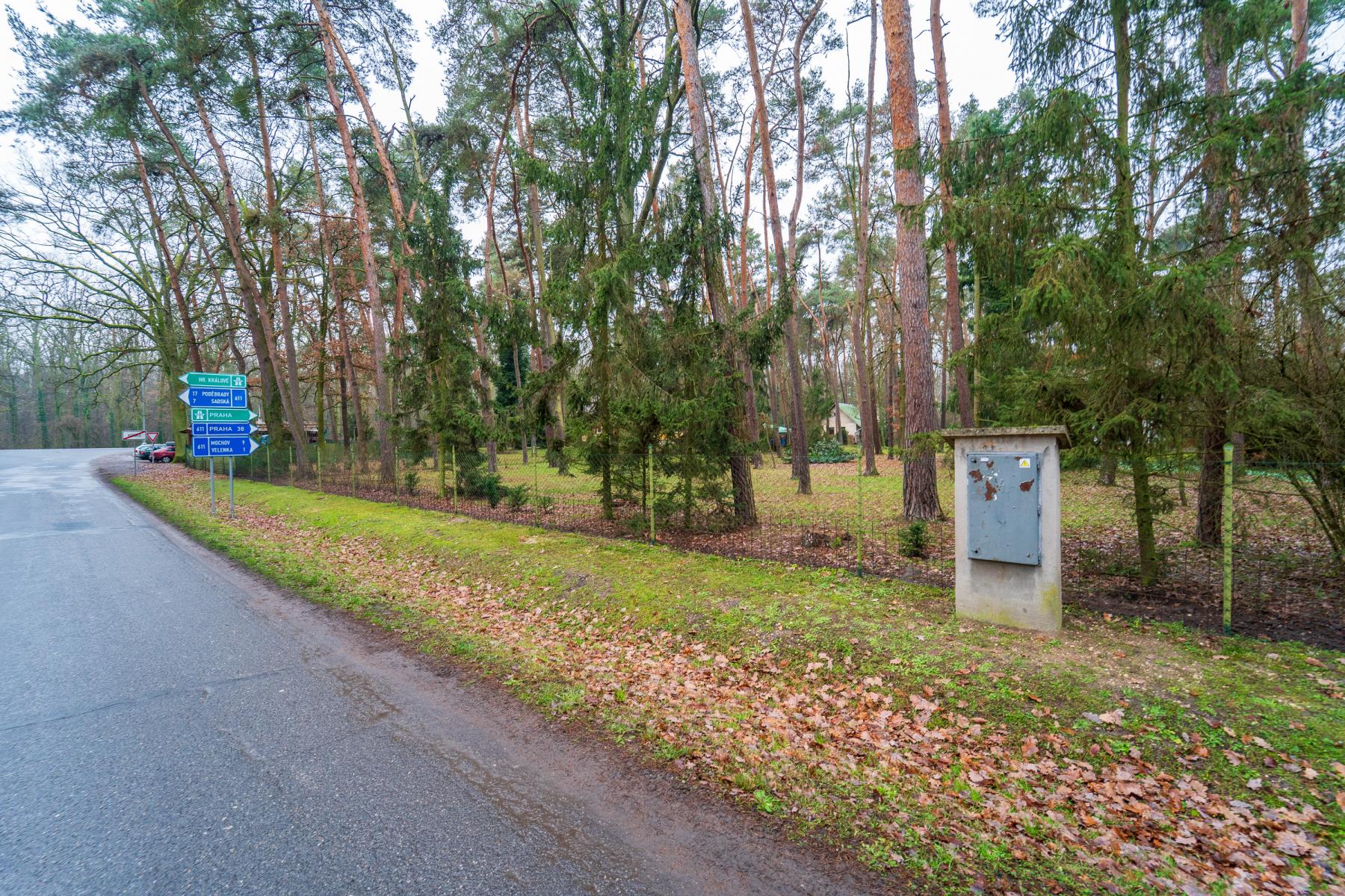 DSC03122.jpg