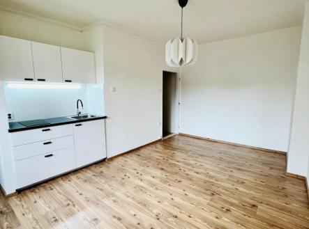 Pronájem bytu, 1+kk, 23 m²