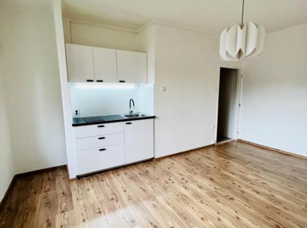 Pronájem bytu, 1+kk, 23 m²