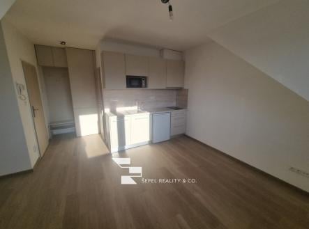 Pronájem bytu, 1+kk, 25 m²