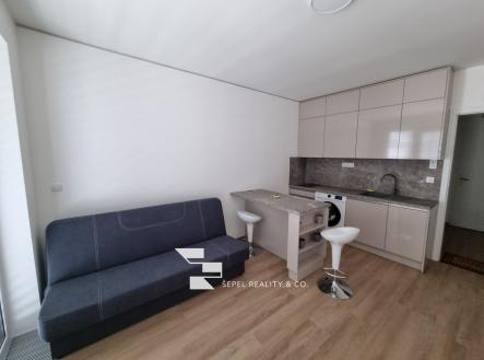 Pronájem bytu, 1+kk, 24 m²