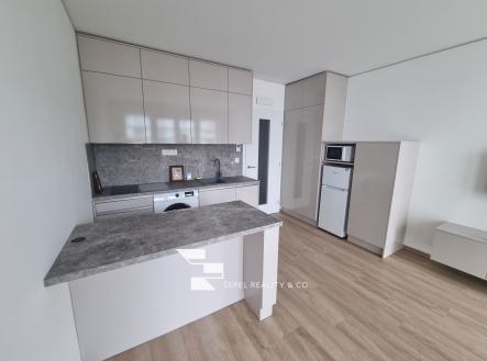 Pronájem bytu, 1+kk, 24 m²