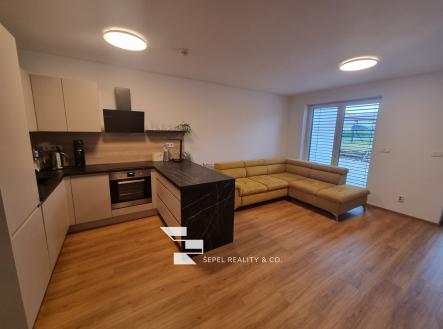 Pronájem domu/vily, 100 m²