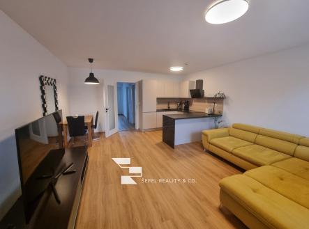 Pronájem domu/vily, 100 m²