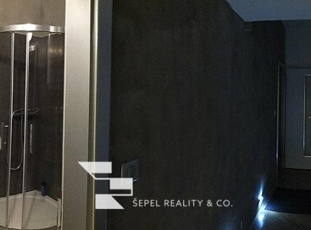 Pronájem bytu, 1+kk, 47 m²