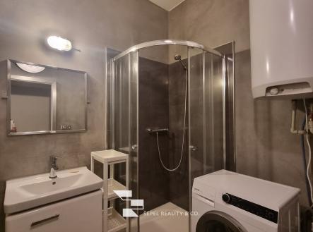 Pronájem bytu, 1+kk, 47 m²