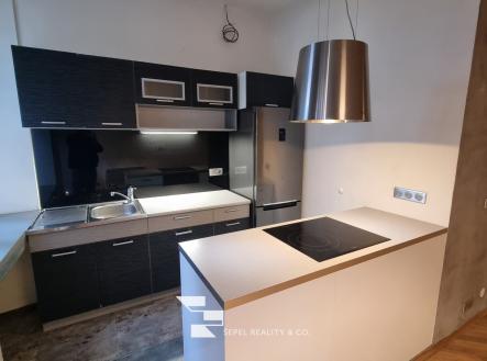 Pronájem bytu, 1+kk, 47 m²