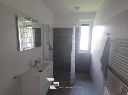 Pronájem domu/vily, 180 m²