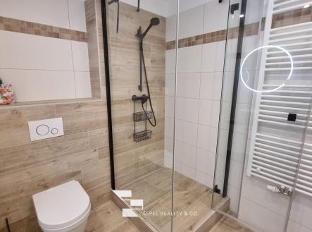 Pronájem bytu, 2+kk, 56 m²