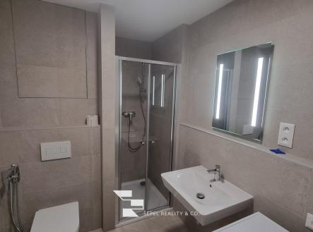 Pronájem bytu, 2+kk, 40 m²