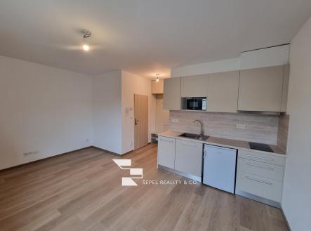 Pronájem bytu, 1+kk, 29 m²