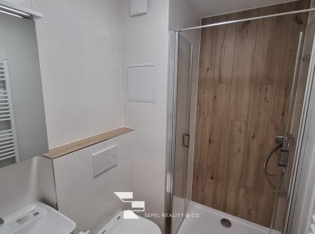Pronájem bytu, 1+kk, 29 m²