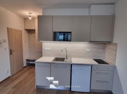 Pronájem bytu, 1+kk, 29 m²