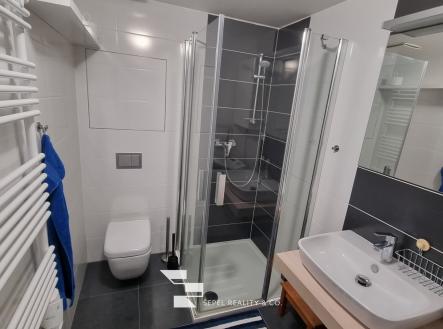 Pronájem bytu, 1+kk, 24 m²