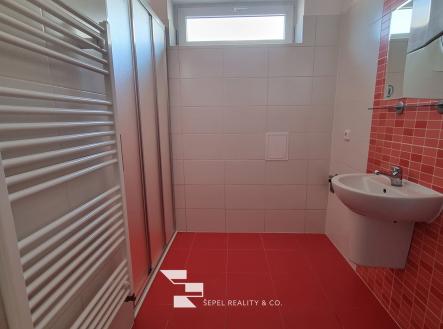 Pronájem bytu, 2+kk, 65 m²