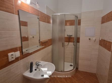 Pronájem bytu, 2+1, 68 m²