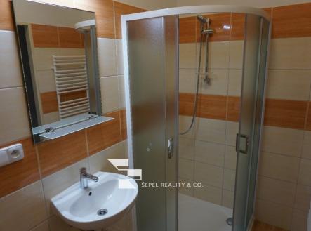 Pronájem bytu, 1+kk, 40 m²