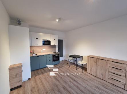 Pronájem bytu, 1+kk, 27 m²