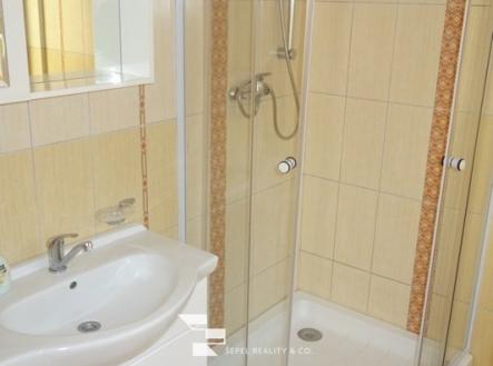 Pronájem bytu, 2+1, 80 m²