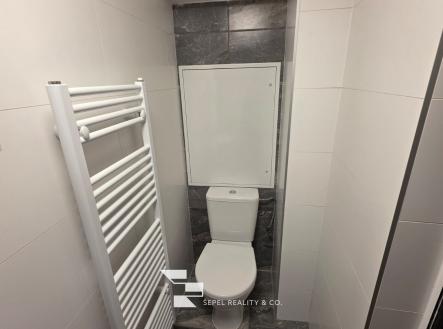 Pronájem bytu, 1+kk, 17 m²