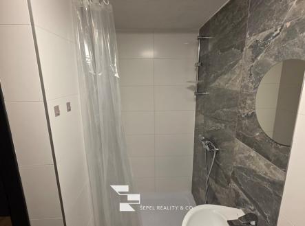 Pronájem bytu, 1+kk, 17 m²