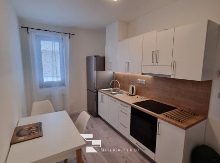 Pronájem bytu, 1+1, 43 m²