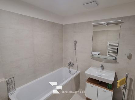 Pronájem bytu, 1+1, 43 m²