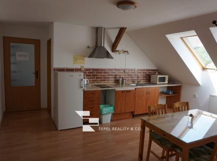 Pronájem bytu, 1+kk, 20 m²